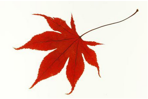 短信群發(fā)平臺(tái)到底安全嗎？